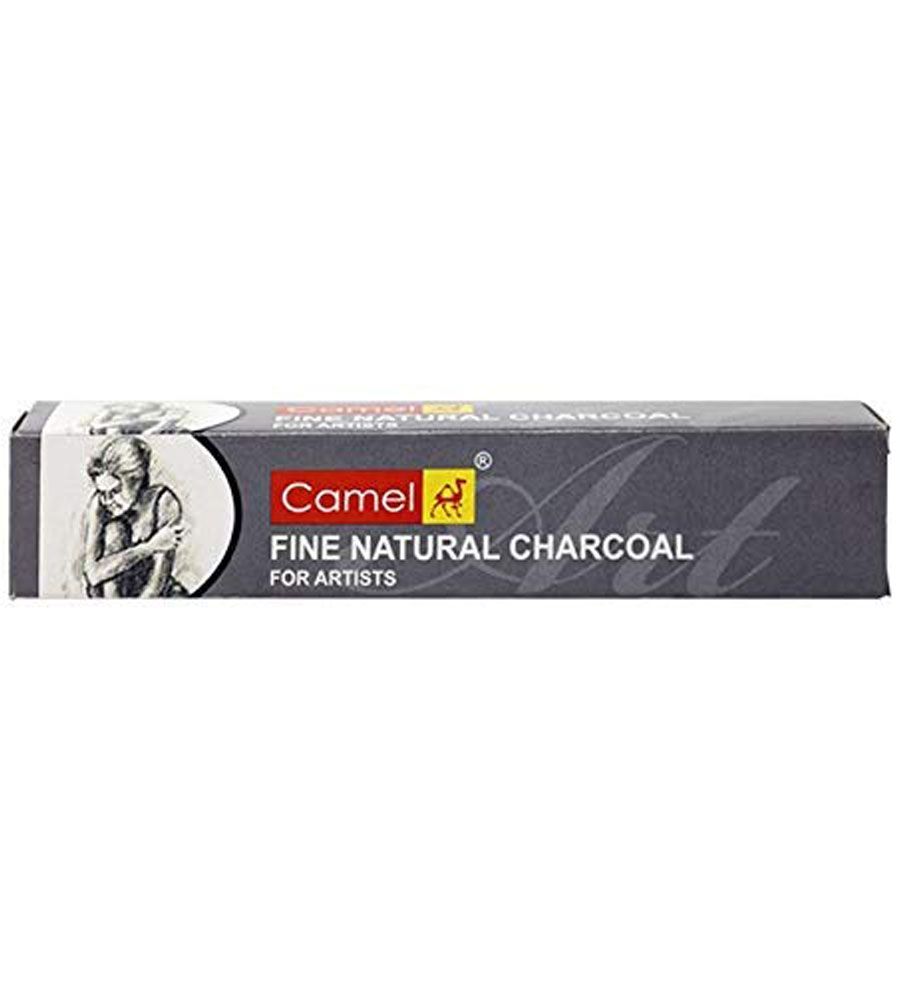 Camlin Camel Fine Natural Charcoal for Artist (10 g) in Siliguri