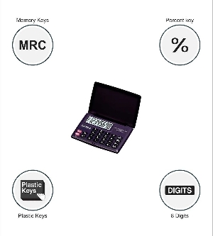 Casio LC-160LV-BK Portable Calculator